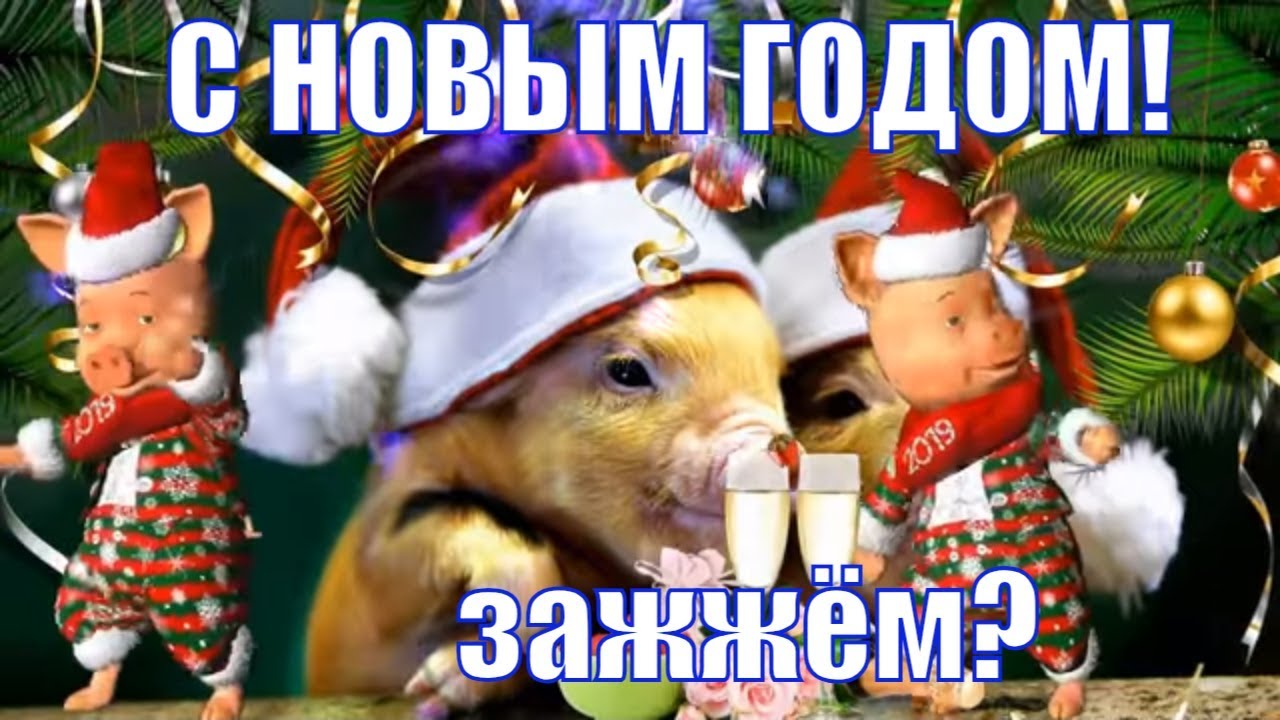 ⁣С НОВЫМ ГОДОМ 2019! Красивые веселые видео поздравления и пожелания в новый год