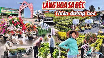 Hồi Hợp Chờ Tết, Làng Hoa SA ĐÉC, ĐỒNG THÁP, Đang Tất Bật Chuyển Bị Cho Những Ngày Gần Tết 2026