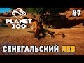 Planet Zoo #7 Сенегальский лев (попытка побега)