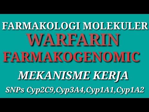 MEKANISME KERJA WARFARIN