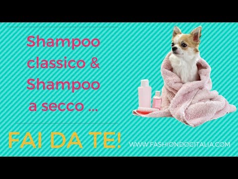 Video: Hai Bisogno Di Uno Shampoo Per Cani Medicato?