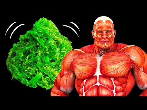Vidéo: Pourquoi Manger Des Algues Est Bon Pour Vous