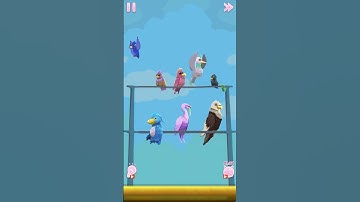 Perfect tidy-Gameplay Walkthrough level 14 || Organizing birds