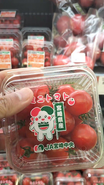 TOMAT JEPANG IMUT IMUT KAYAK CERI !! #viral #jepang #fyp