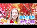 秋の盛岡の街を散策！岩手公園の紅葉が見事すぎて感動した！【あしやの東北の旅】