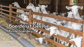 Boerderij t Geertje Kinderboerderij