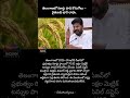 14 Jan 2026#TelanganaFarmers #PaddyProcurement #UttamKumarReddy #MSP #Kharif2025 #AgricultureNews