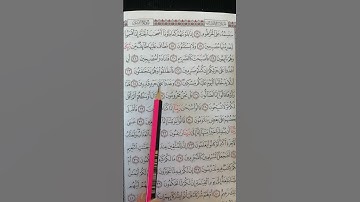 تعليم سورة القلم من 23 إلى 27