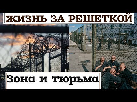 Зона и тюрьма В чём разница .Чем отличается тюрьма от зоны.