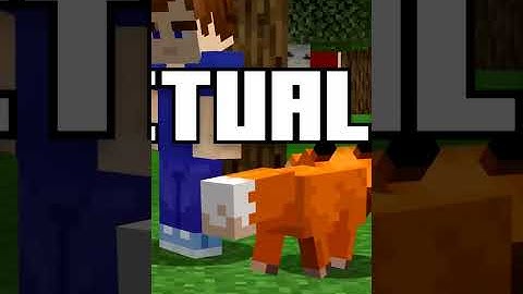 31 Tricks for your Minecraft SMP | #Shorts | Tricks Mine