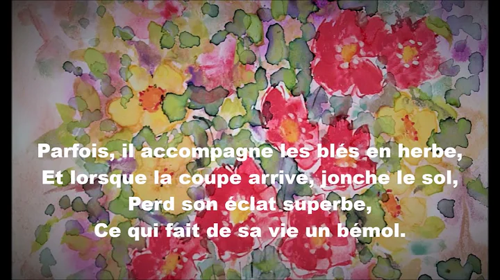 Posie : LES BOUTONS D'OR