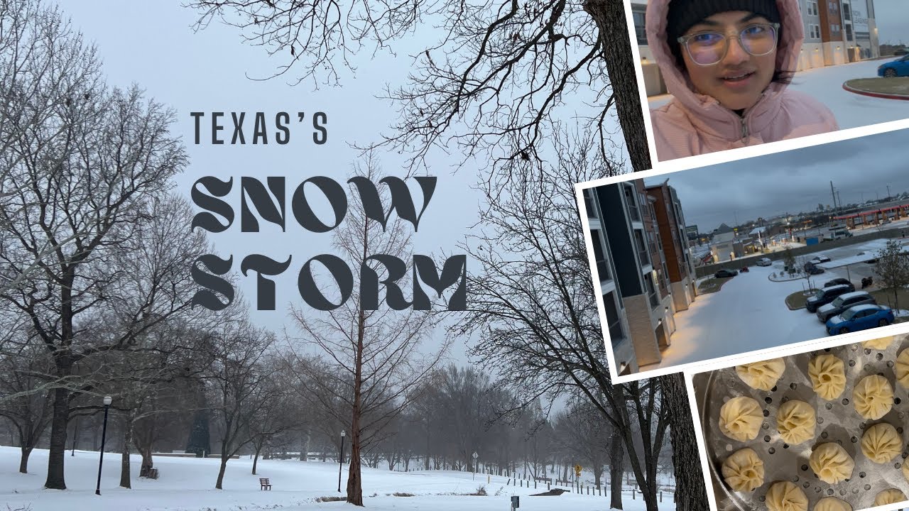 Emergency happened during *SNOW STORM* |Nepali🇳🇵 living in USA 🇺🇸 | MOMO Day