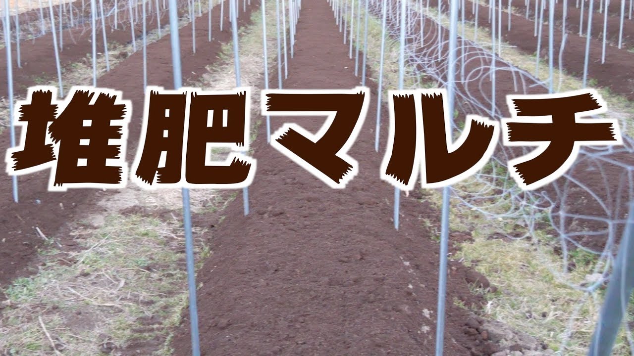 アスパラ堆肥マルチ 321 Youtube