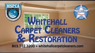 Http://splashomnimedia.com http://whitehallcarpetcleaners.com customer
satisfaction is our number-one priority and clients are proof that
when it comes t...