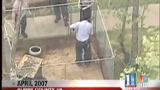 11 Alive Michael Vick Pit Bull Rescue by Brandon Bond