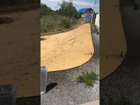 Газон из клевера
