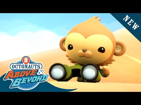 Octonauts: Above & Beyond - Meet Octo-Agent Paani the Hydrologist | Land Adventures | @Octonauts