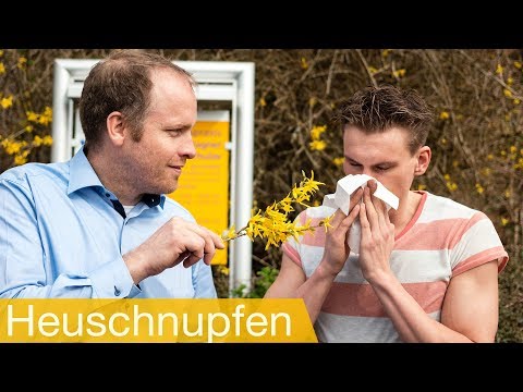 Video: Heuschnupfen Symptome: Auslöser, Komplikationen Und Behandlung