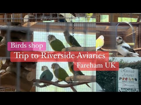 Trip to Riverside Aviaries Fareham UK#ssssalisbury #uk #birds #birdslover #birdshops