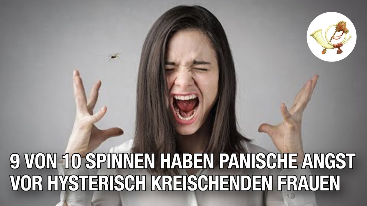 Panische Putzfrau: \