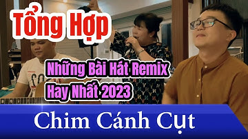 Tổng Hợp Liên Khúc Remix Cực Hay Cực Sung Hot Tiktok 2023 - Chim Cánh Cụt Tuyết Diễm - Family Band