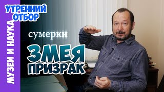 Что такое сумеречная зона и где живет змея-призрак? Игорь Фадеев