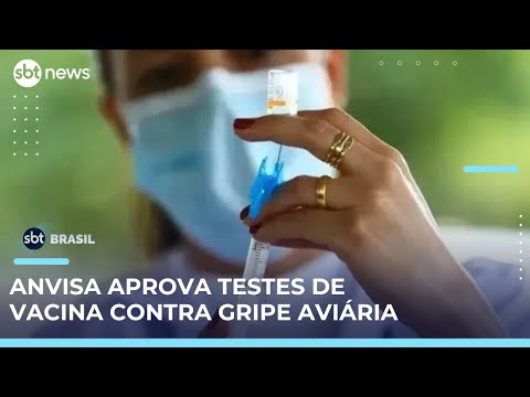Video vacina-contra-gripe-aviaria-anvisa-aprova-inicio-de-testes-em-humanos-sbt-brasil