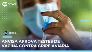 Video vacina-contra-gripe-aviaria-anvisa-aprova-inicio-de-testes-em-humanos-sbt-brasil