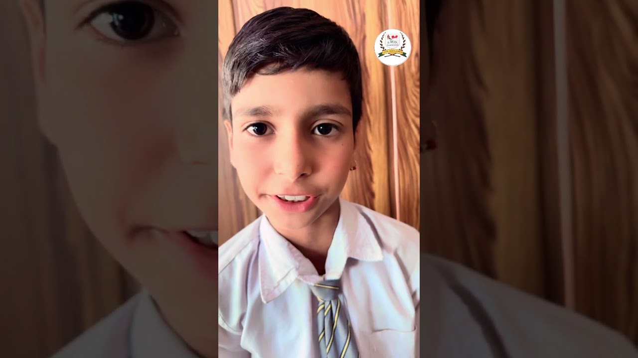 interaction, helping children develop social skills, empathy, and teamwork in a safe environment. 