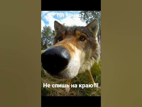 ЪыЪ - YouTube
