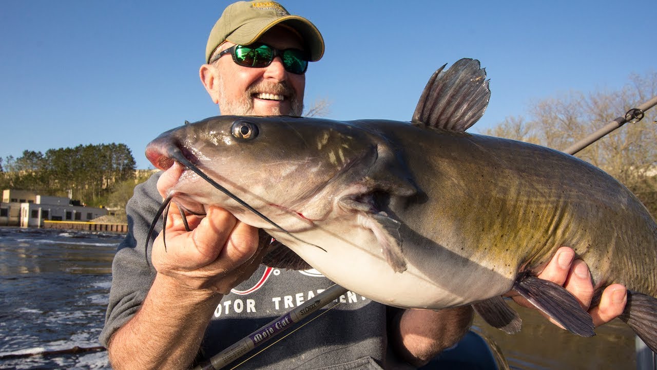 The World's Number 1 Best Red River Catfishing