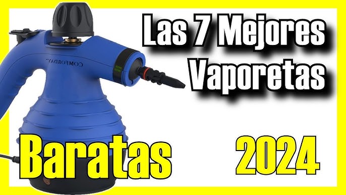 GLOIL vaporeta Limpieza hogar,Limpiador Vapor,vaporeta de Mano,vaporeta  Limpieza Sofa,con 10 Accesorios para la Eliminación de