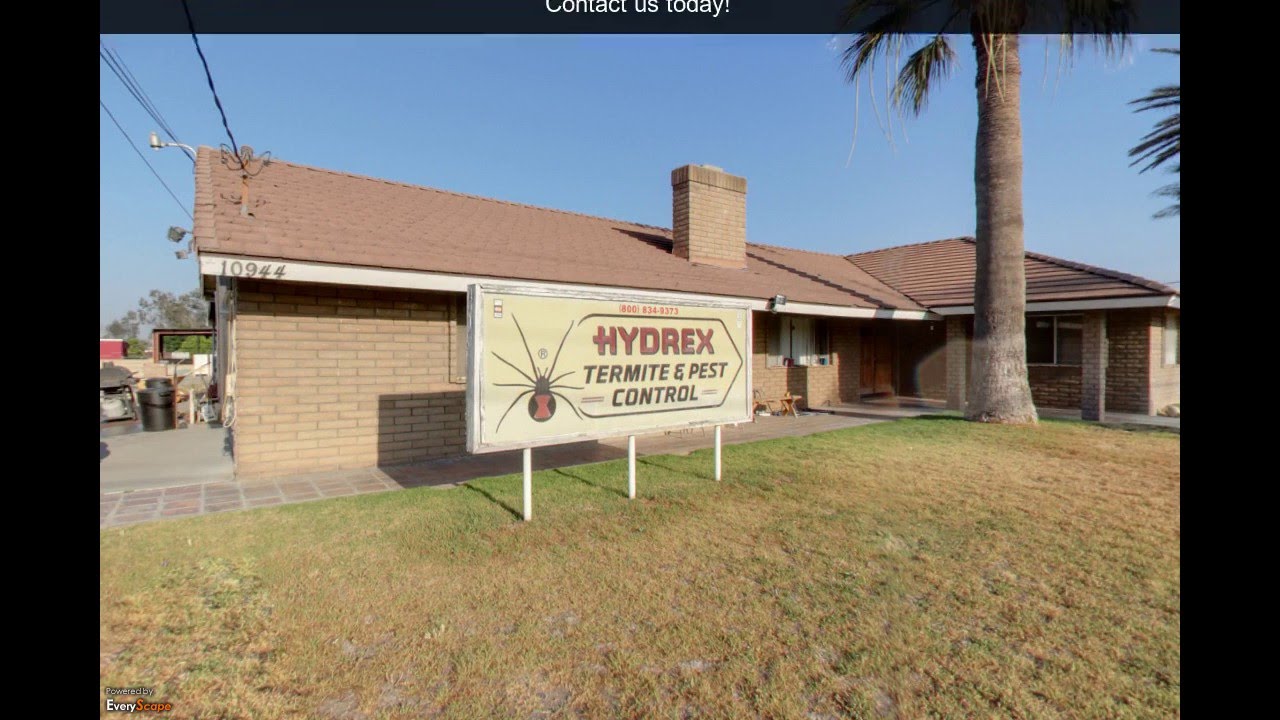 Hydrex Termite & Pest Control Co. Fontana, CA Pest Control YouTube