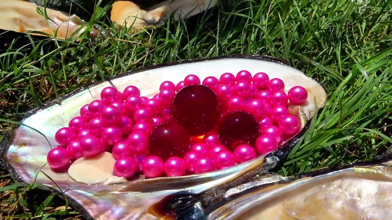 From Riverbed to Riches: Girl Finds Century-Old Giant Clam with Hidden Pearl Treasure