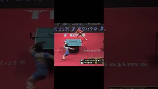 #森薗政崇 #モーレゴード 照井雄太が選ぶスーパープレー「どよめき」 岡山リベッツ vs T.T彩たま ノジマTリーグ2019-2020 2019年11月23日 岡山武道館【卓球 Tリーグ公式】