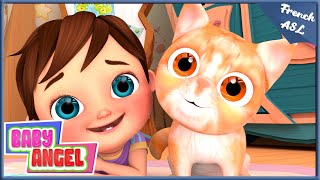 Le Chaton Mignon en Chanson | Comptines Enfants Baby Angel Le Francais ASL