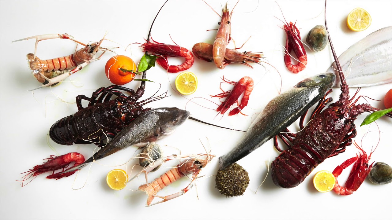 Fiola at Dopolavoro Venezia