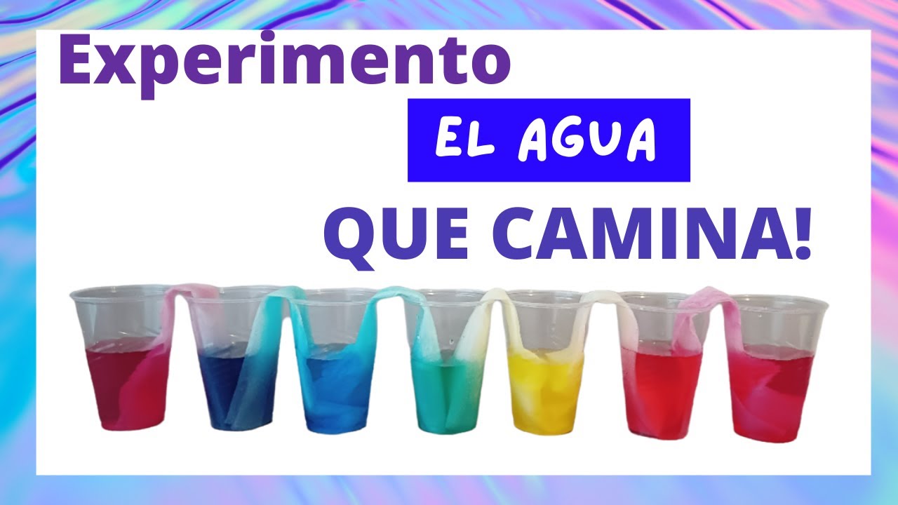 El agua que camina!!✨ Experimentos para niños
