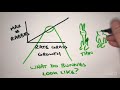 Analyzing Rabbit Population Dynamics Through Graphical Representations