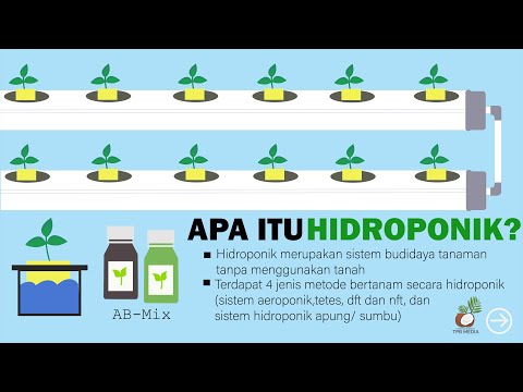 Video: Strategi untuk menghasilkan uang di binari. Apa itu penghasilan biner?