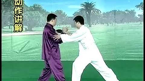 Zhang Dongwu-Taiji Sports Push Hands