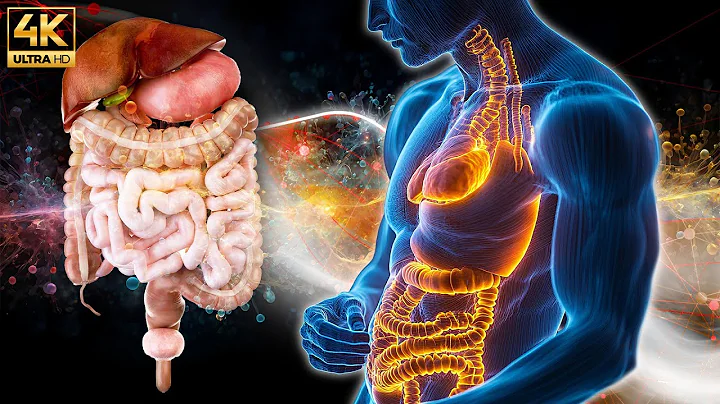 Repairs DNA & Heals Damaged Cells (528Hz EMDR Binaural QT4 Healing Frequency) #3