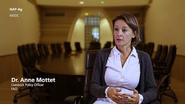 NAP-Ag MOOC - Week 4 Part 1 - Climate Adaptation Options