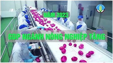 Công tác CCHC năm 2023, nhiệm vụ trọng tâm năm 2024