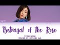 Tiffany Young - Betrayal of the Rose Lyrics (HAN/ROM/ENG) [COVER]
