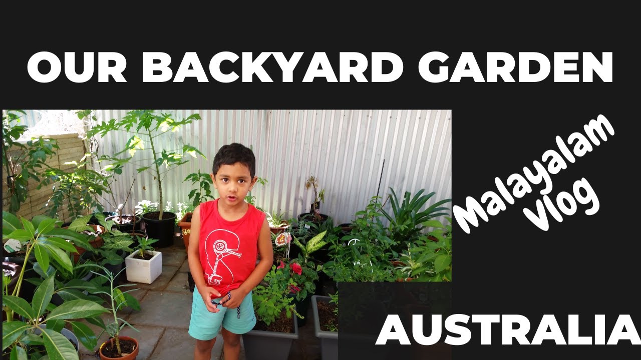 Our Backyard Garden II Australia Malayalam Vlog YouTube