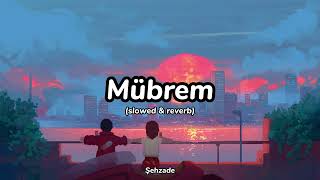 Mübrem (Slowed + reverb) Şehzade | Lyrics Resimi