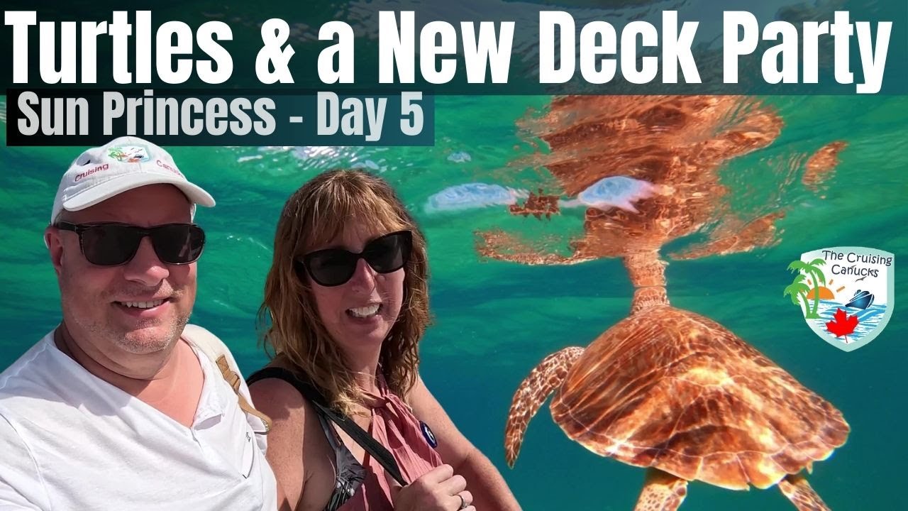 Diving with Turtles in St. Thomas - Day 5 Sun Princess Vlog