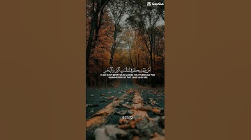 #سورة_النمل #قرآن #quran #قران_كريم #تلاوة_خاشعة #@qurani-jannati #اكسبلور #لايك #راحة_نفسية