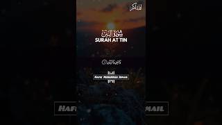 Surah At-Tin Relaxing Tilawat 🫀🎧😌.Hafiz Muhammad Ismail. #viral #shorts #ytshorts #fyp #surahattin